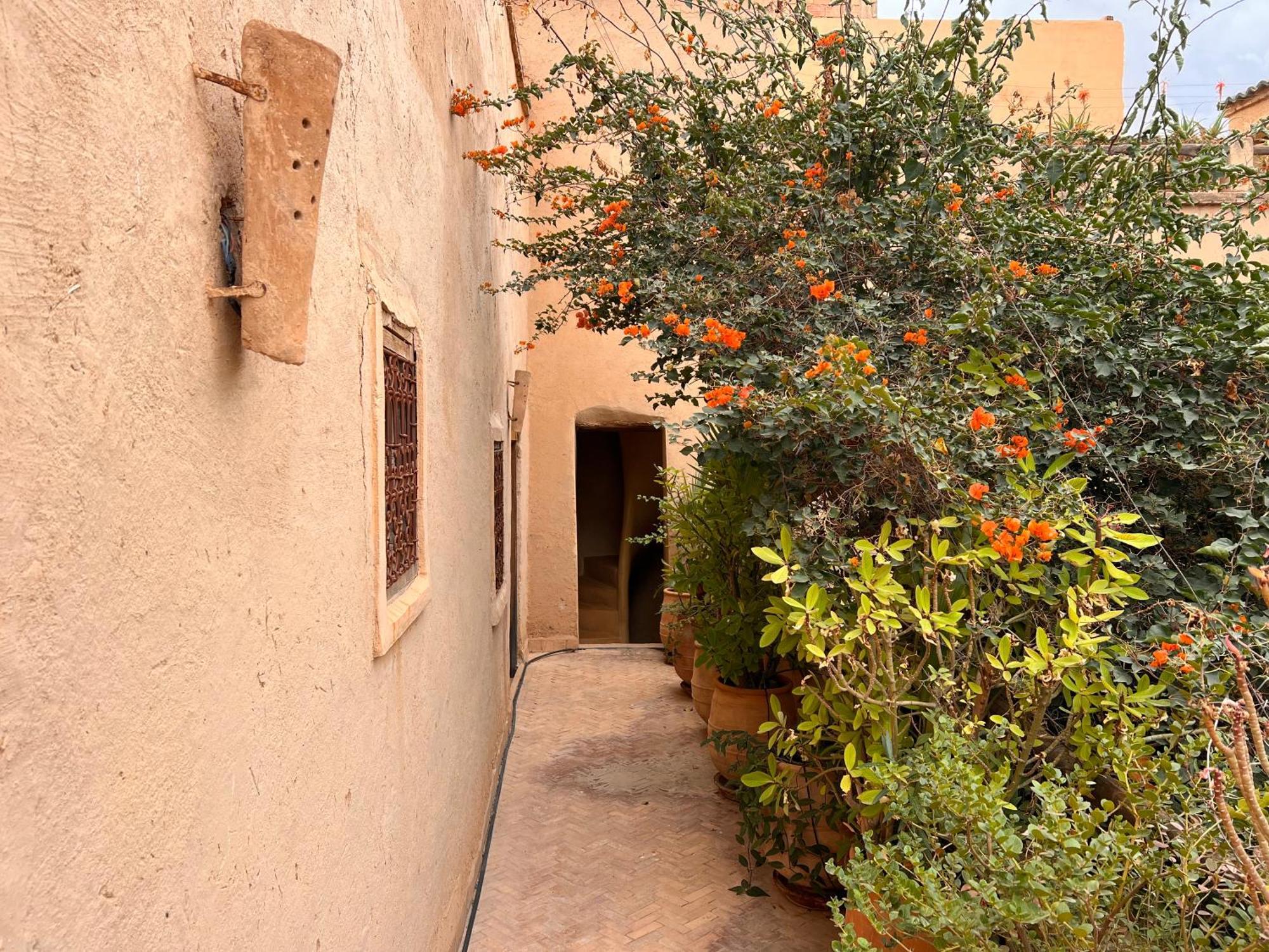 Dar Les Dattiers Taroudant Eksteriør bilde